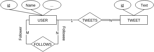 Twitter ER